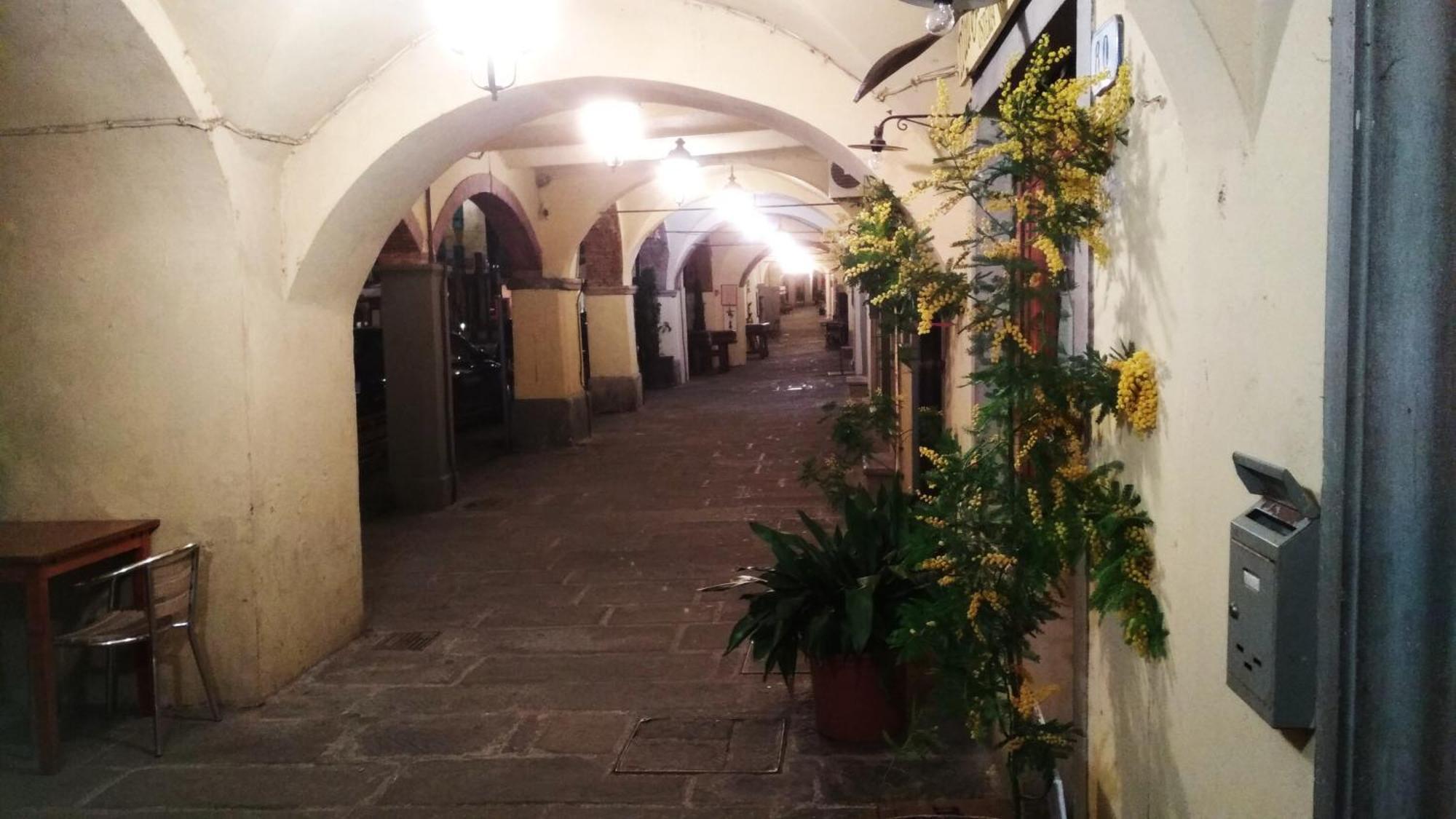 Apartamento Il Nido Nel Chianti Greve in Chianti Exterior foto